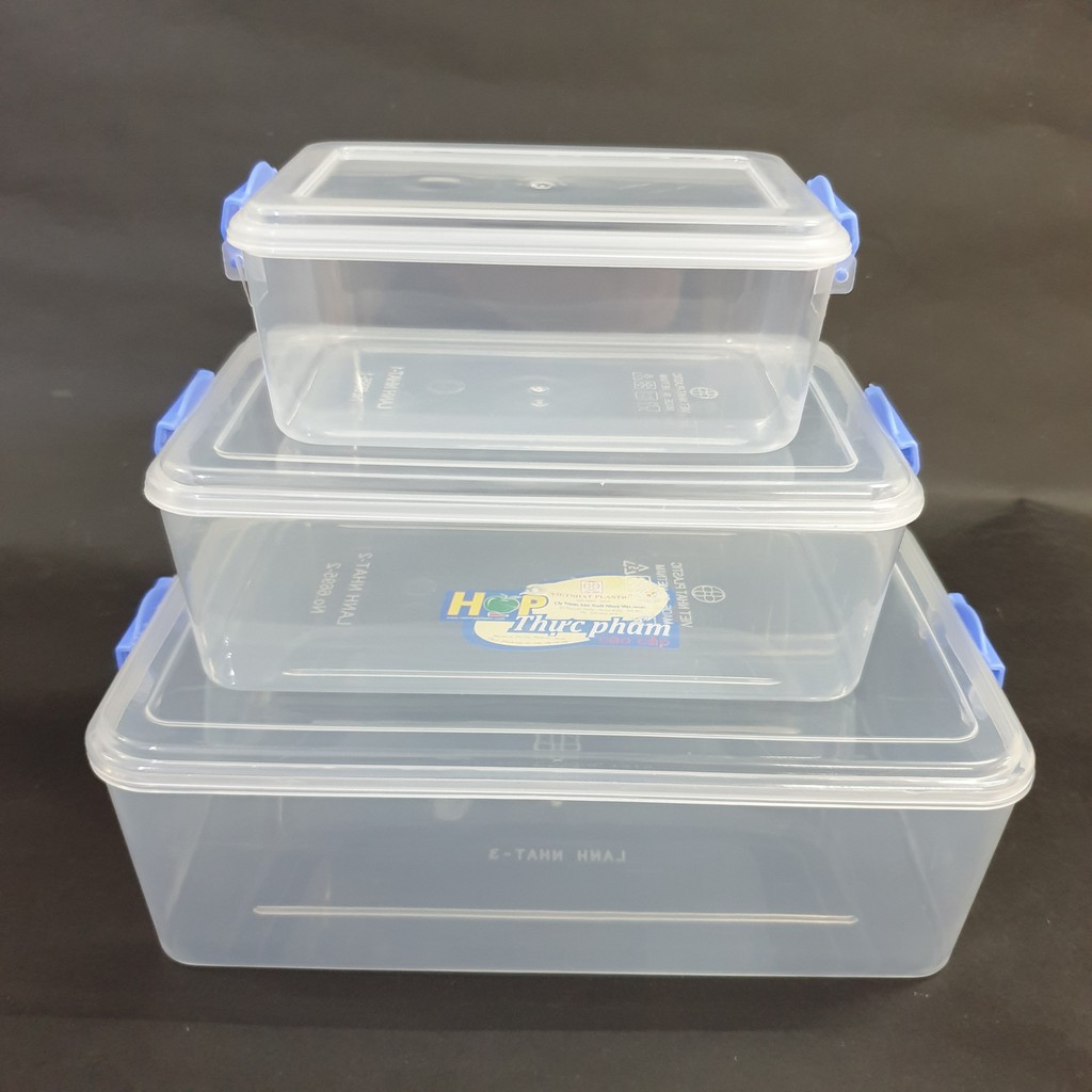Vietnamesejapanese Standard Refrigerator Food Containers, Food