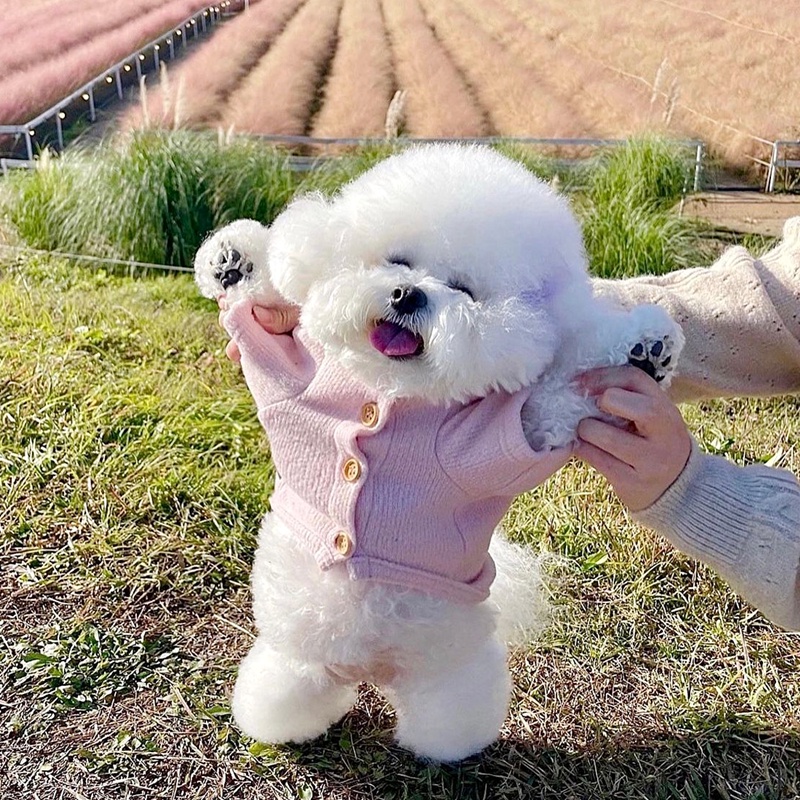 Pet Autumn Winter Puppy Dog Clothes Teddy Bichon Poodle Pomeranian