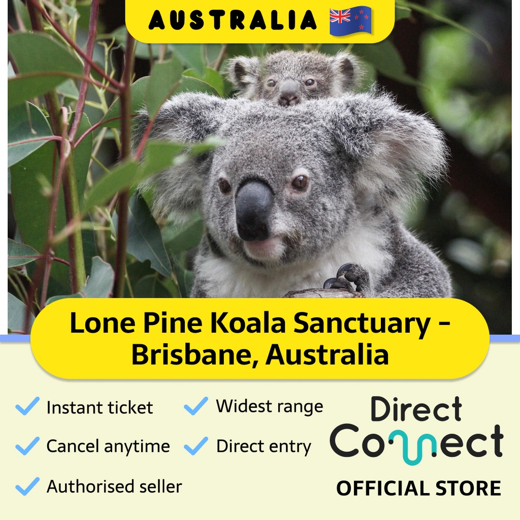 Lone Pine Koala Sanctuary Brisbane Australia Attractions Tickets Vouchers Travel Family Outing