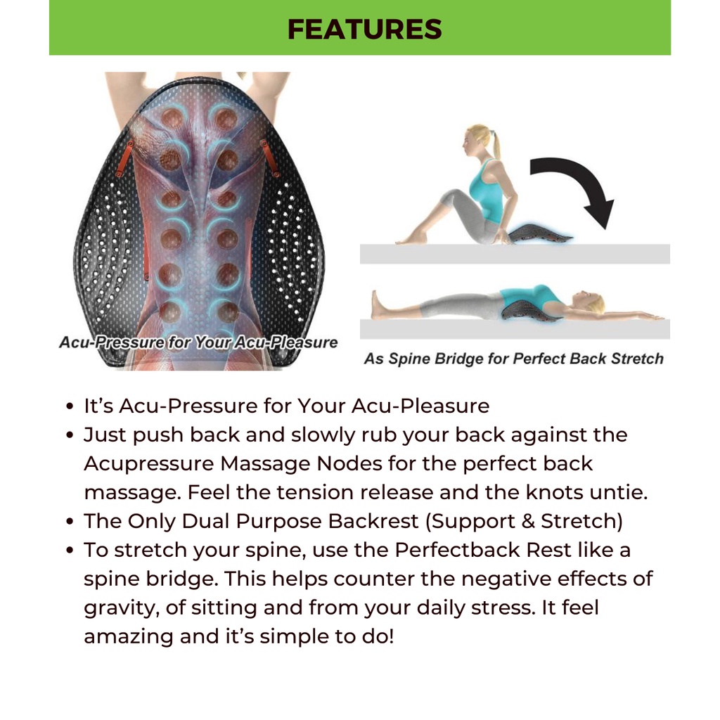 Ergoworks Ergonomic Posture Support | DR HO'S - HO-PBR-01 - Perfect ...