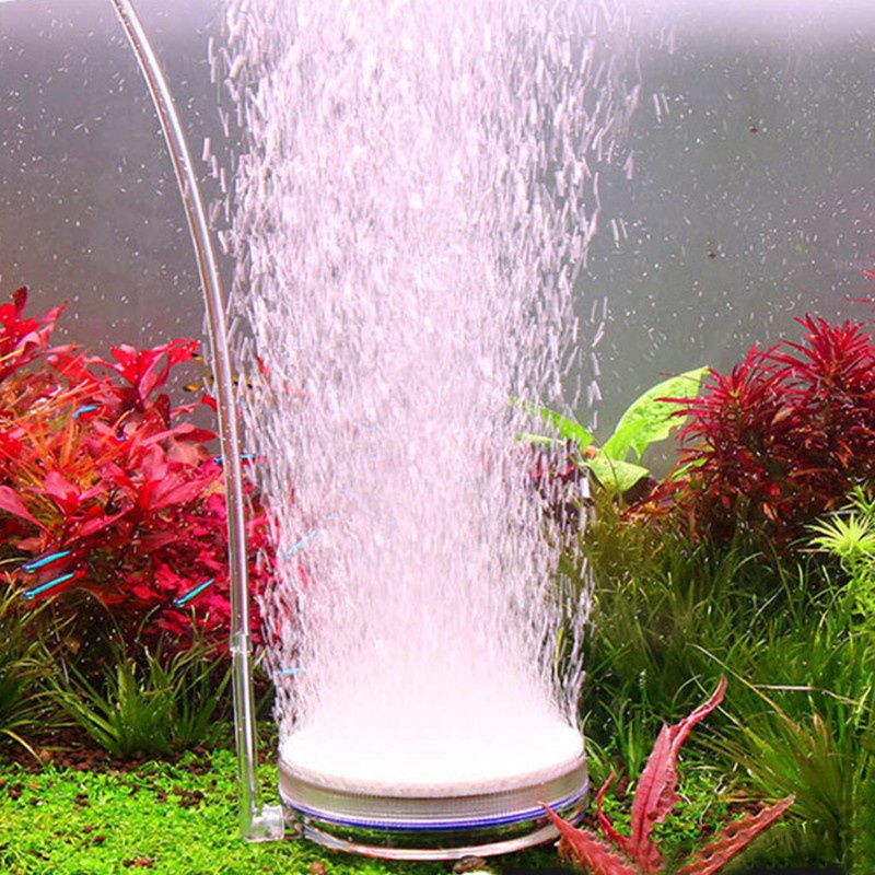 Quarium Air Stone Nano Bubble Fish Tank Stone Disc Air Pump Accessories ...