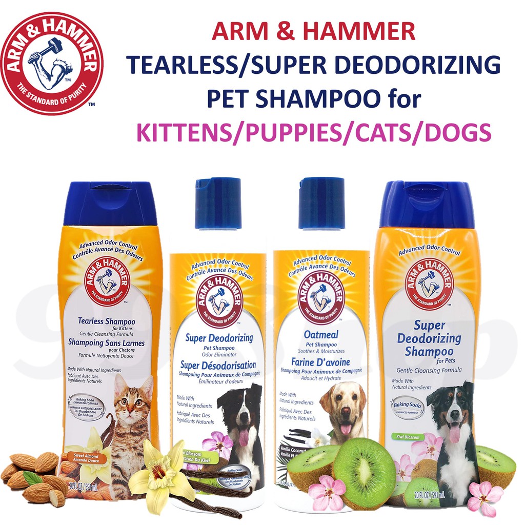 Arm and hammer dog hot sale shampoo