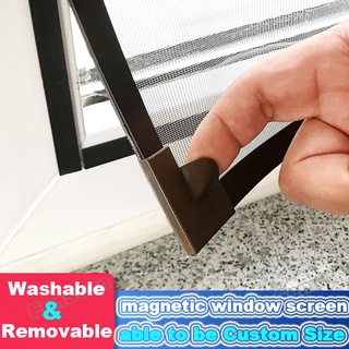 Insect window screen: magnetic, online, custom 