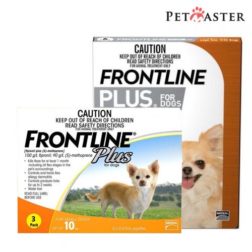 Frontline for clearance chihuahuas