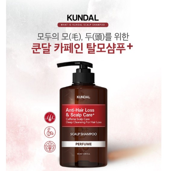 [KUNDAL SHAMPOO] KUNDAL SCALP CARE & ANTI HAIR LOSS 500ml+500ml