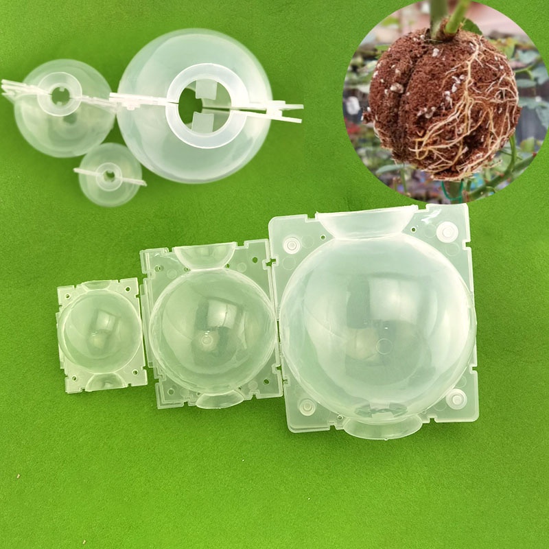 5cm/8cm/12cm High-Pressure Breeding Plant Root Growth Box Grafting ...