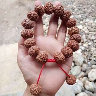 Huge Tibetan 14 18mm Rudraksha Bodhi Seed Meditation Prayer Beads Mala  Bracelet 