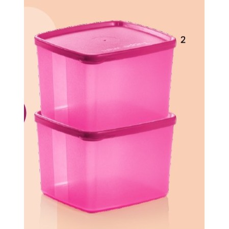 Tupperware Square Round 800ml (2pcs) | Shopee Singapore