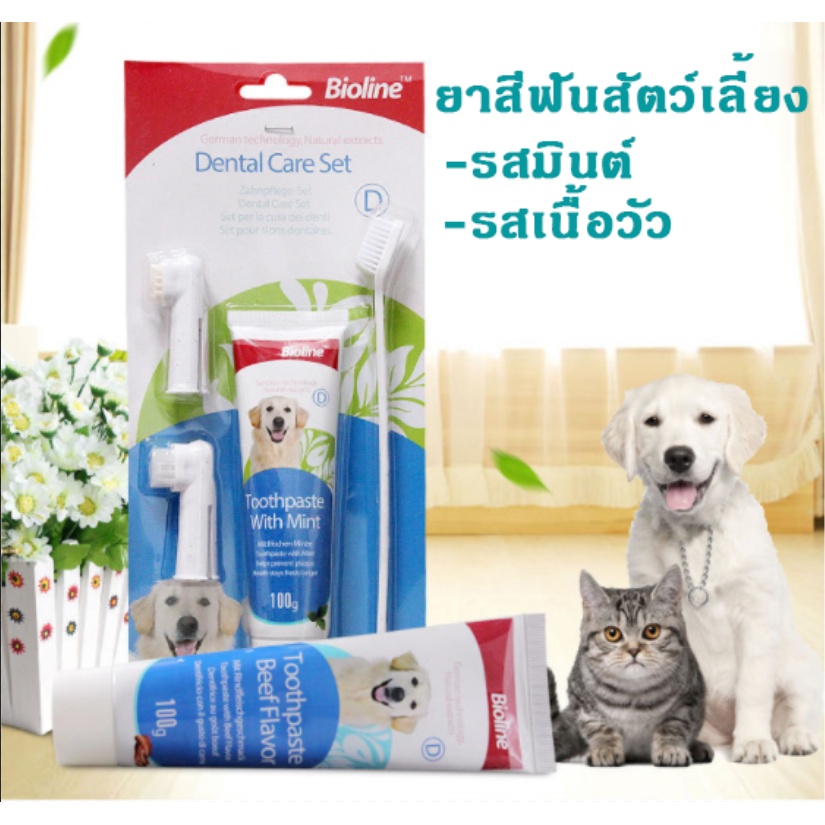 Ming Bioline Pet Toothbrush Set Dog And Cat Toothpaste Shopee Singapore
