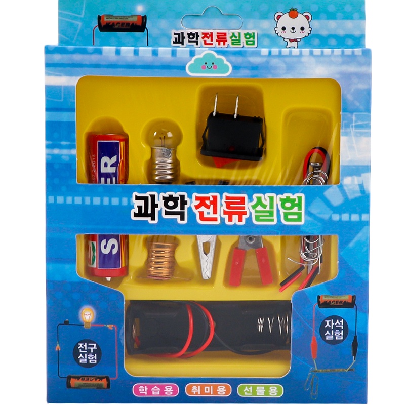 GIFTED EDUCATION Light Bulb Electric Circuit Physics Science Experiment ...