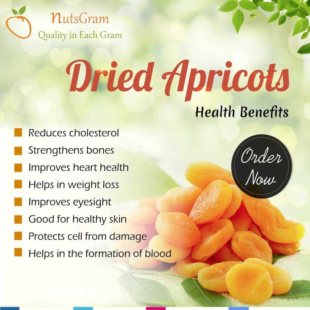 Dried Apricot 1kg 500 250 100 gram Aprikot Kering Shopee Singapore