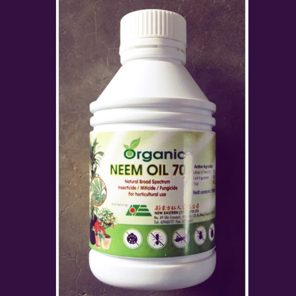 Organic Neem Oil 70 (500ml) broad spectrum insecticide/miticide