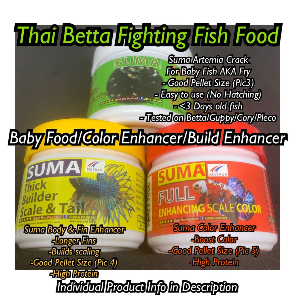 Food for hotsell baby bettas fry