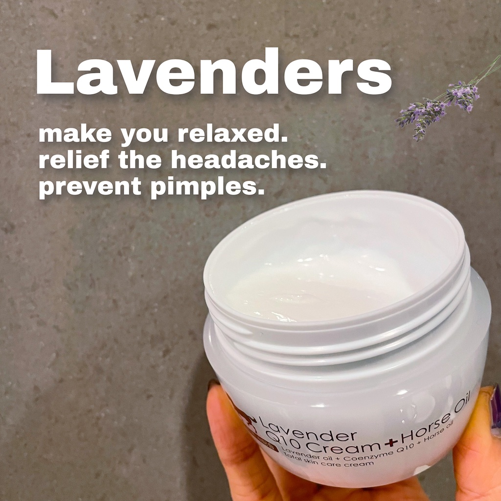 MADE IN JAPAN】Herb Hill Furano - Lavender Q10 Horse Oil Cream