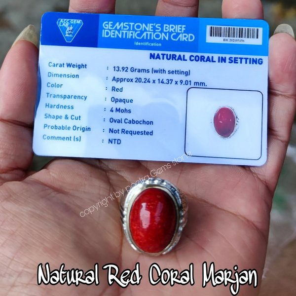 Buy sale red coral