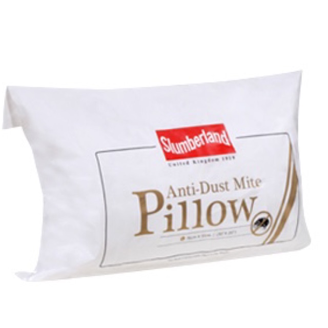 Anti dust best sale mite pillow