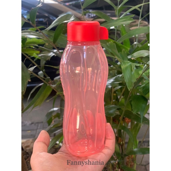 Tupperware Eco Botle 310ml/Eco Botle Mini Screw Cap/Airtight And Liquid