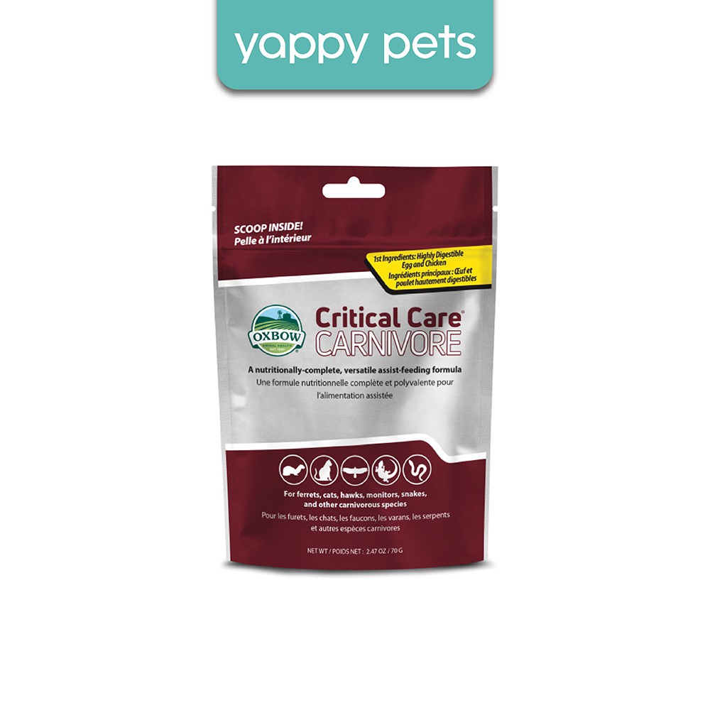 Picture Idea: Oxbow Critical Care Carnivore Small Animal Recovery Food 70G