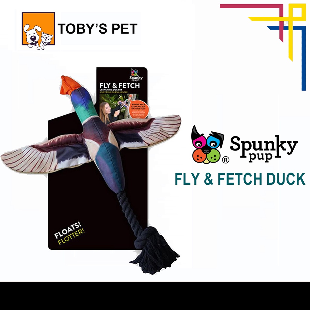 Fly and fetch dog sales toy