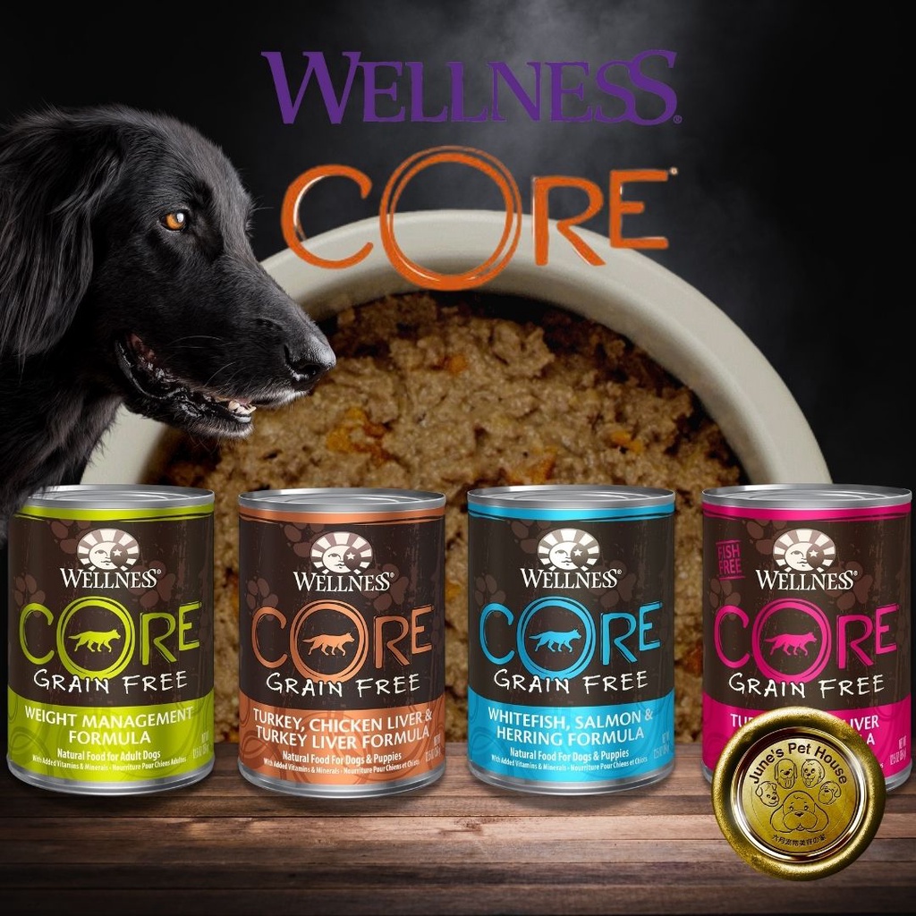 Wellness Core GrainFree Canned Wet Dog Food Pate Shopee Singapore