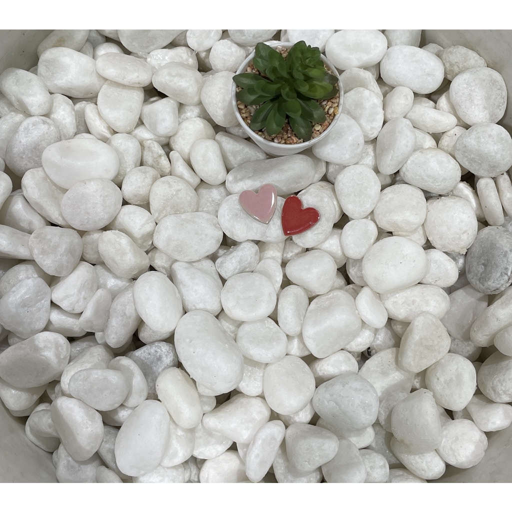 Pebbles Stone Crystal White (4.5kgs) | Shopee Singapore