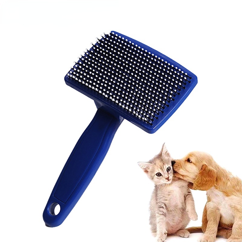 Chihuahua brush clearance