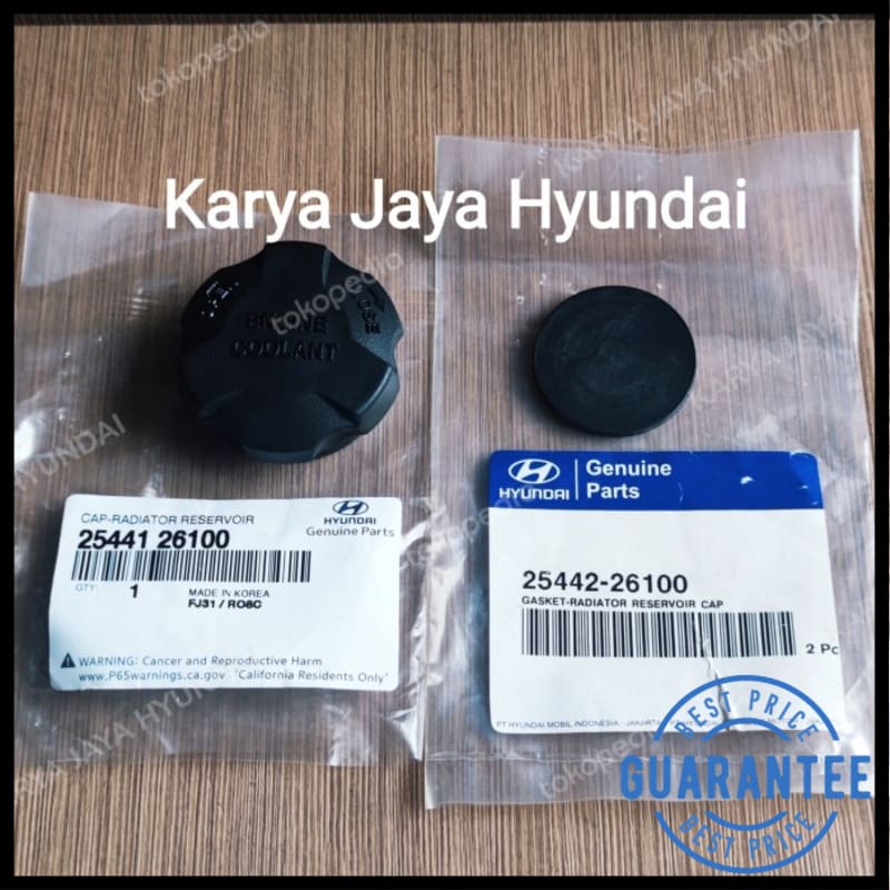 Radiator Tube Cap n packing Hyundai Getz Matrix i10 i20 AN tucson