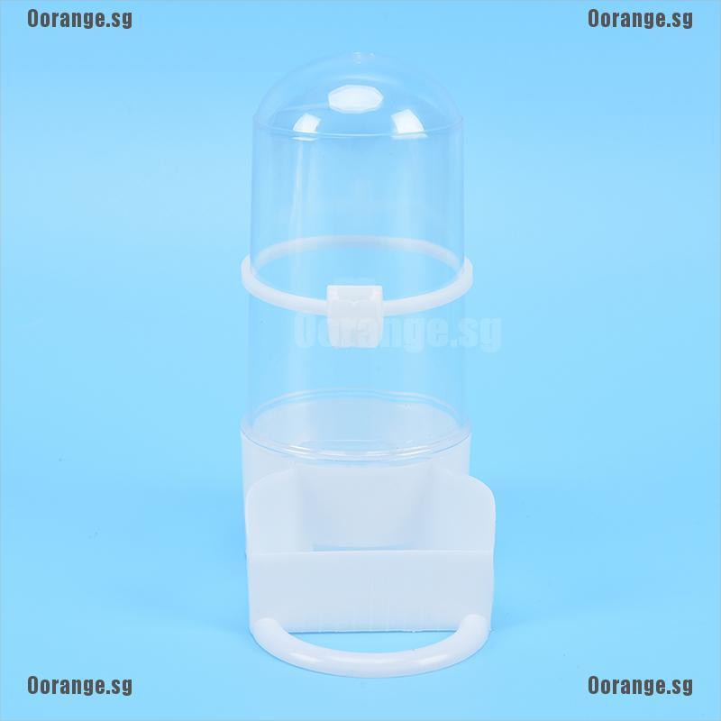 Distributeur Automatique De Nourriture Et Eau Pour Oiseaux En Cage - Acrylique, Pour Perruches, Perroquets