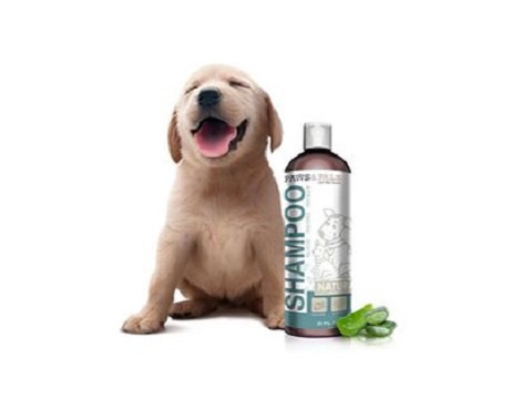 Buy Pet Supplies Products Online