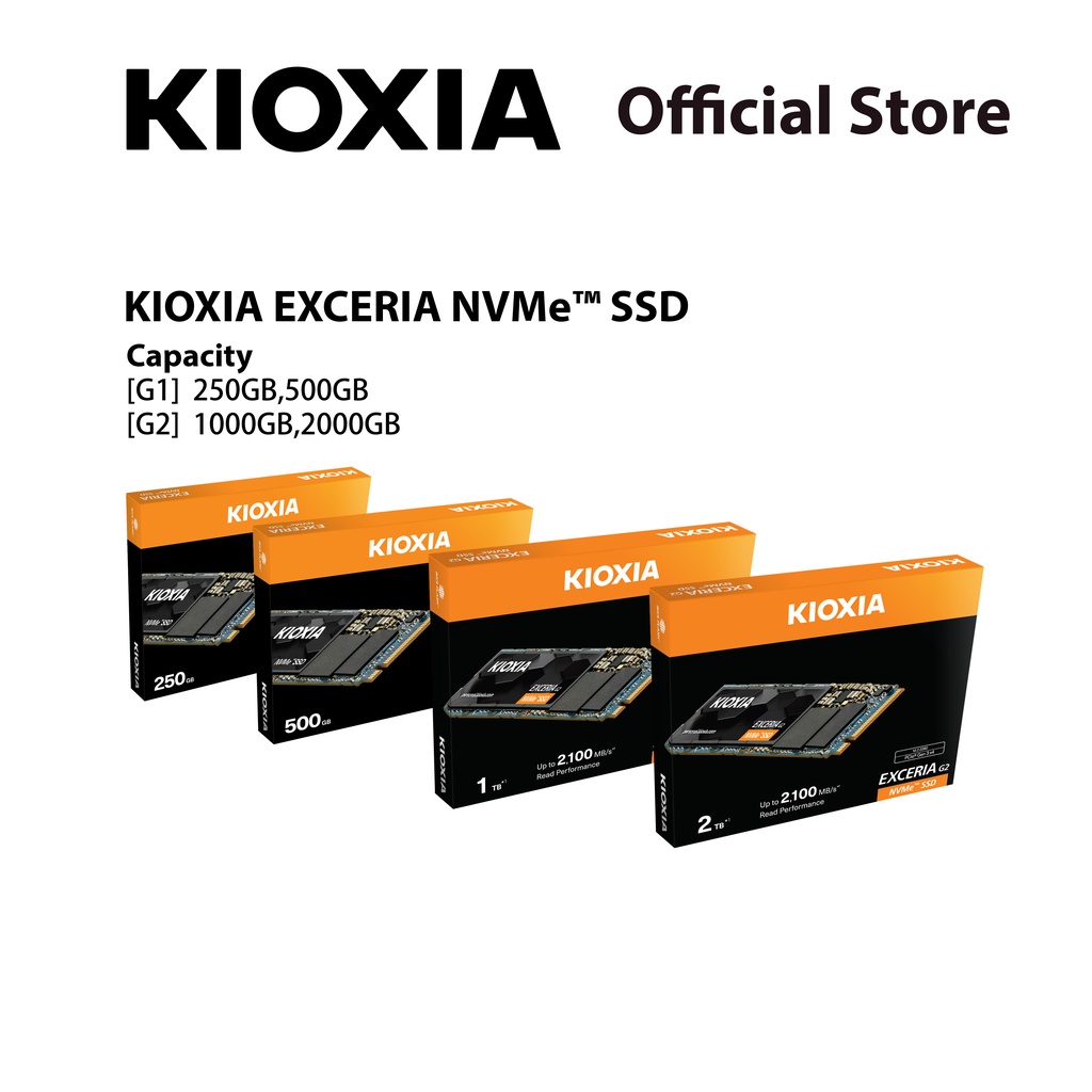 Kioxia EXCERIA 250 Go SSD NVMe M.2 2280