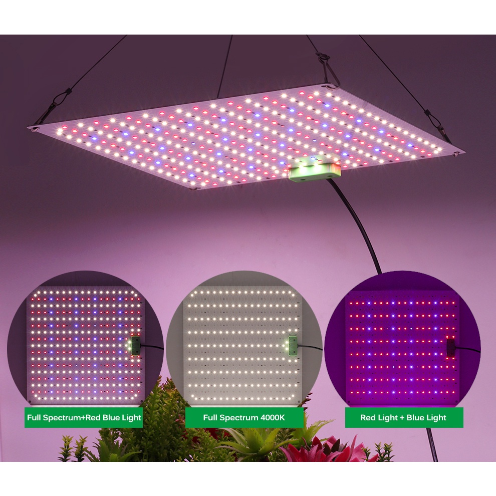 Full Spectrum LED Grow Light 450W 1100W Samsung LM281B LED Sunlike ...