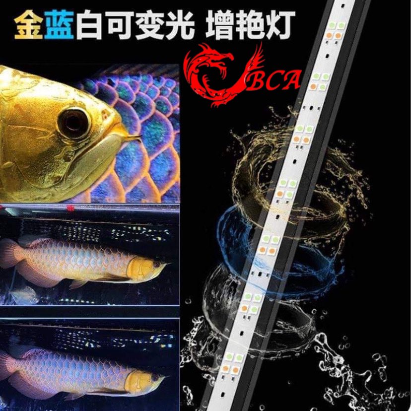 ⚡SG Official Distributor⚡MAYIN Gold, Blue & White LED Light | Shopee ...