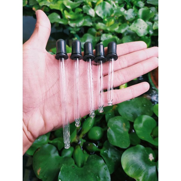 Artemia Pipette/infusoria Pipette/Wart Pipette/Drip Pipette/Glass