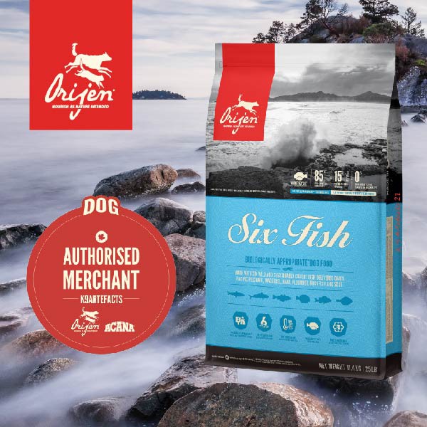 Orijen six fish shop dog food 25 lb