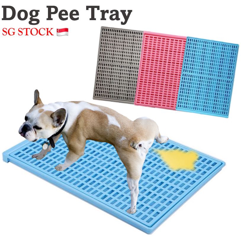 [SG SELLER] Dog Pee Tray / Dog Toilet Training Pan / Puppy Urine Tray / Indoor Toilet Training