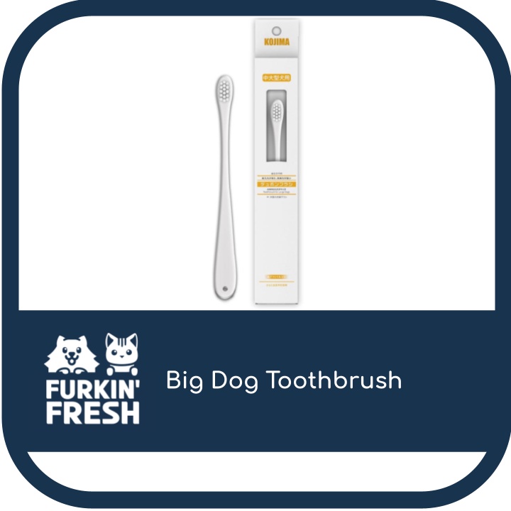 Kojima Toothbrush Toothpaste for Dogs Pet Dental Pet Oral Care