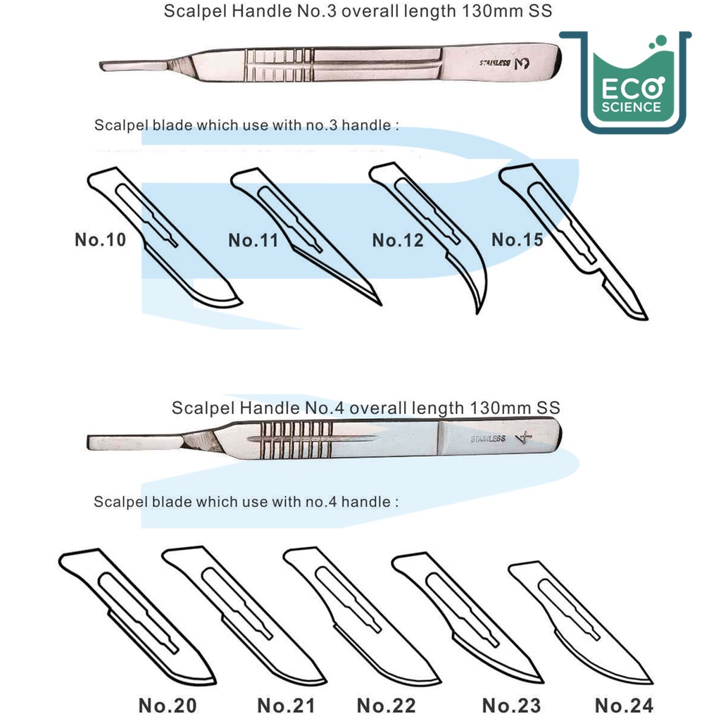[BULK] Surgical Scalpel Blade (100 pcs/box) | Shopee Singapore