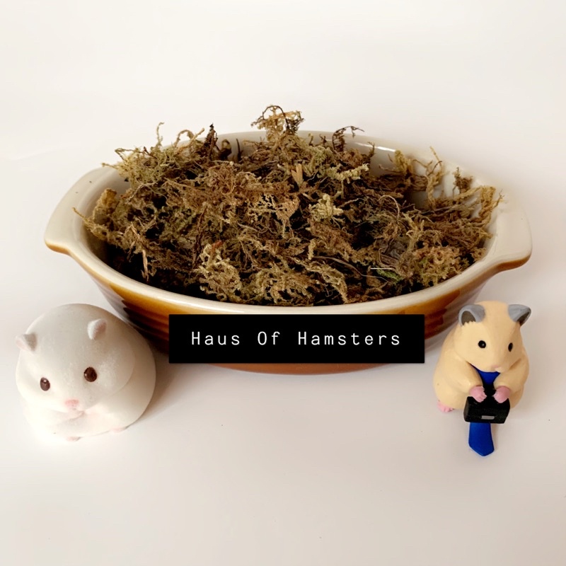(SG Stock) Hamster Bedding Hamster Moss (30g) Shopee Singapore