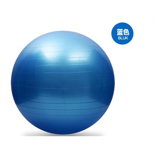 Gym discount ball shopee