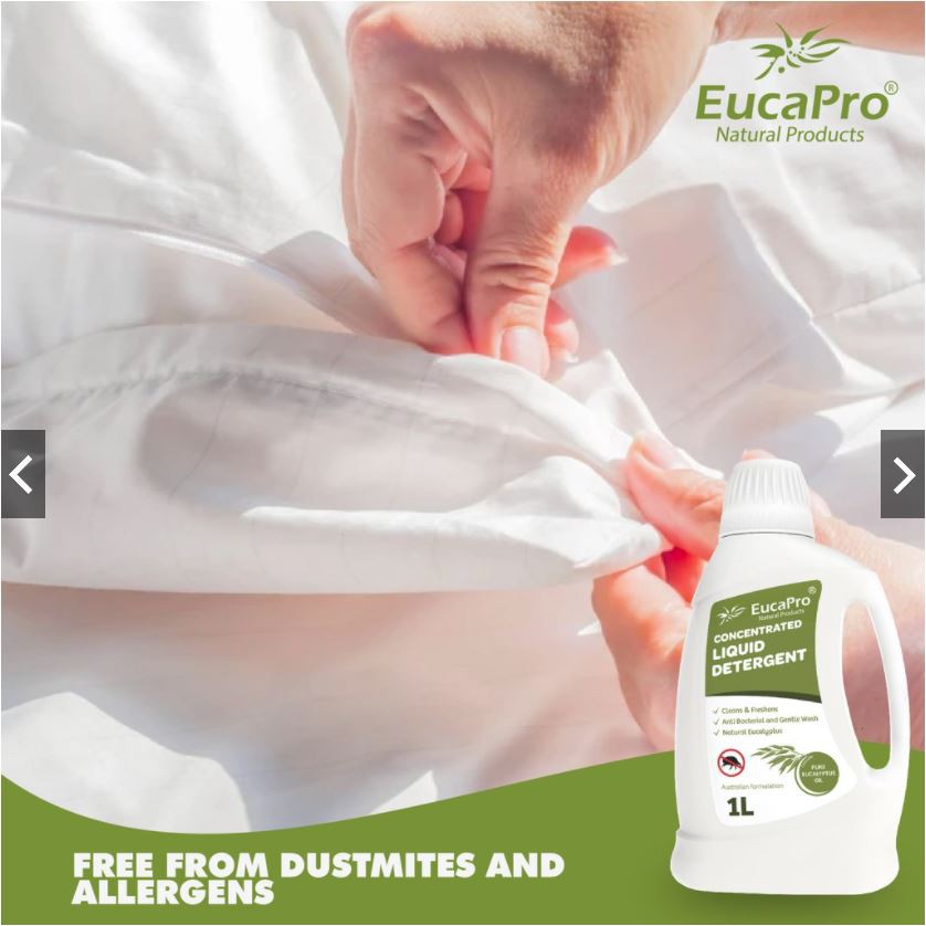 Eucapro Antibacterial Eucalyptus Concentrated Liquid Detergent 1 liter ...