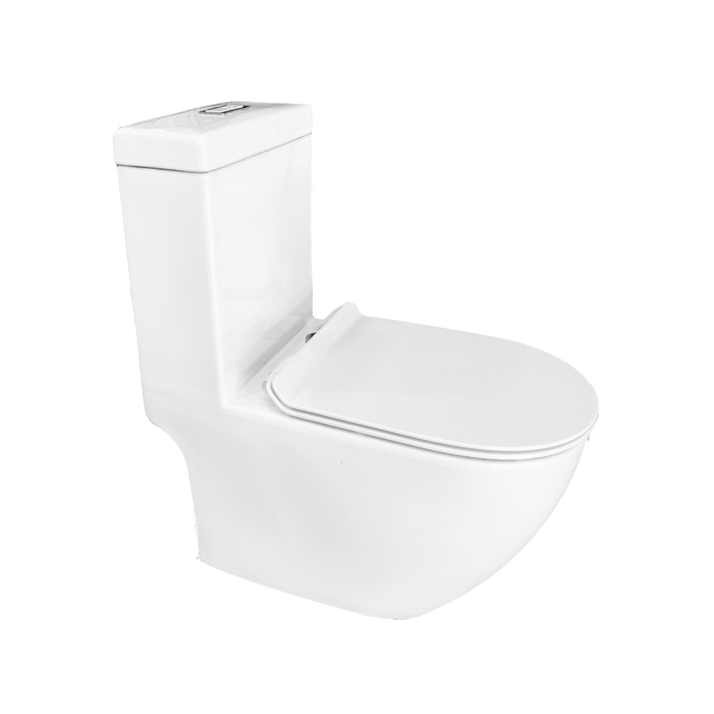 BARON W818 1Piece Toilet Bowl with Basin Package Shopee Singapore