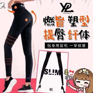 YPL Renaissance SLIM LEGGINGS Free Size