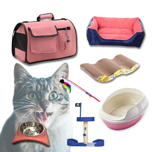 Kitten Starter Kit