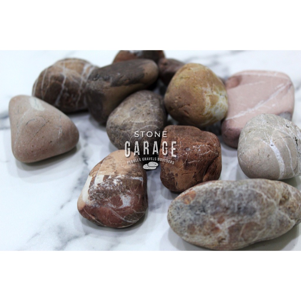 Buy pebbles Products At Sale Prices Online - June 2026 | Shopee Singapore