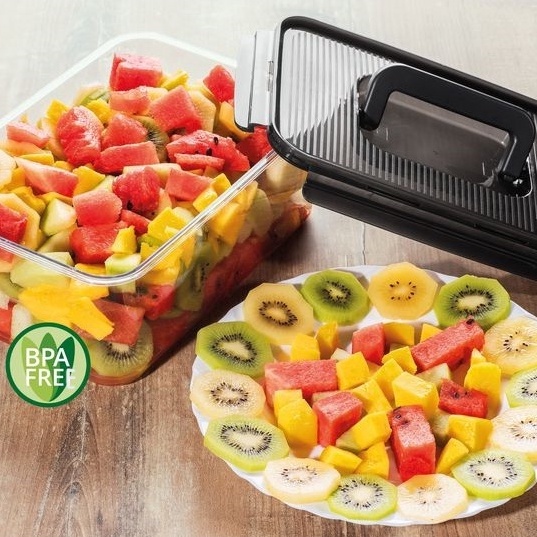 LocknLock Official Bisfree Modular Food Container With Handle 4.8L Rect ...