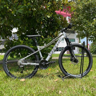 Sunpeed one hot sale 29er