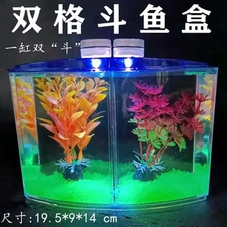 Custom, LED and Acrylic betta fish in small tank Aquariums 