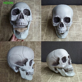 1pc Stainless Steel Skull Head Highball Glass Whiskey Cup, Halloween  Decoration, Color: Blue/white/black