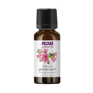  Gya Labs Rose Geranium Essential Oil for Skin - 100% Natural  Geranium Oil for Diffuser - Rose Geranium Essential Oil Organic for  Aromatherapy (0.34 fl oz) : Health & Household