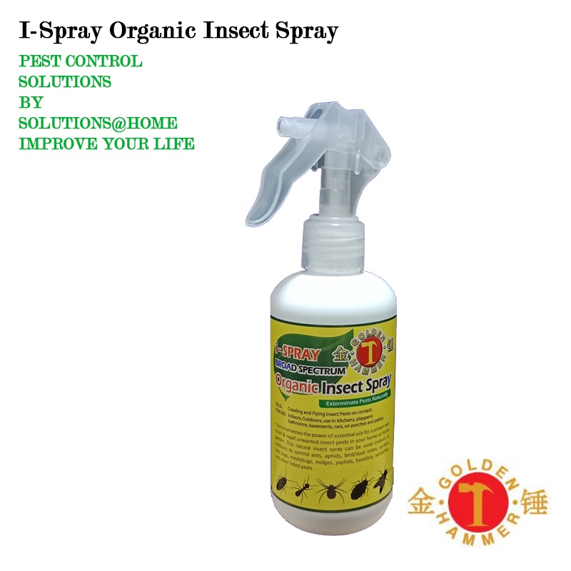 ISpray Organic Insect Spray 250ML Kill and Repel Ants Booklice Spiders